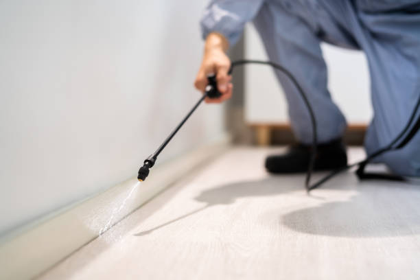 Pest Control Cost in Desloge, MO