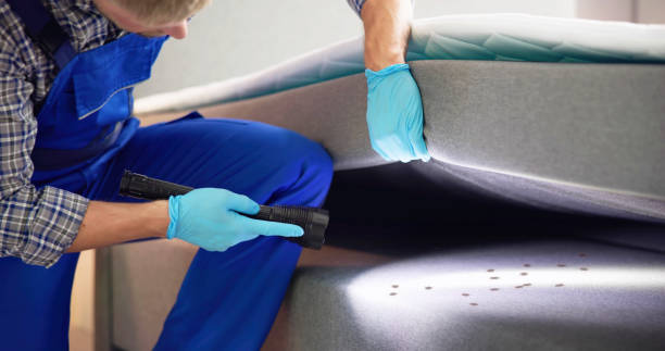 Best Cockroach Control Services  in Desloge, MO